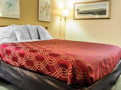 Hotel Econo